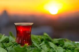 Cay Bahcesi
